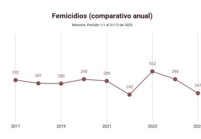 El Observatorio de Femicidios de la Defensoría del Pueblo de la Nación registró 247 víctimas de femicidio en 2025