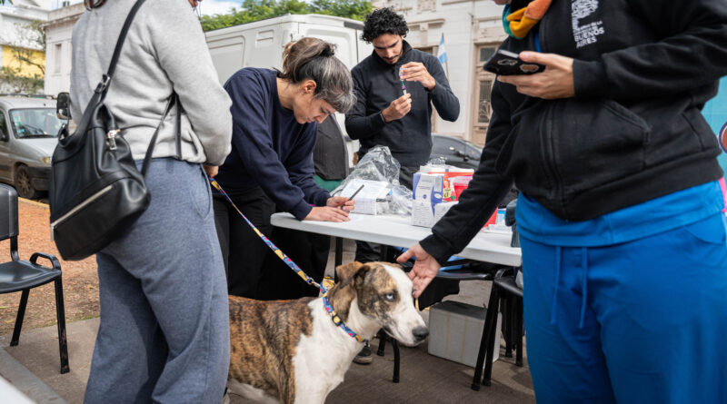Se realizarán operativos de castración y vacunación antirrábica de perros y gatos