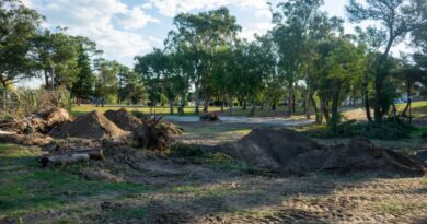Comenzó la primera etapa del nuevo paseo de artesanos
