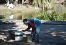 El Municipio despliega tareas de preservación y puesta en valor en el Paseo del Bosque