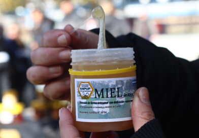 Comienza la “Semana de la miel bonaerense”