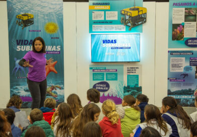 Llegó a la República de los Niños una muestra para conocer más sobre las vidas submarinas