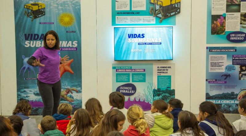 Llegó a la República de los Niños una muestra para conocer más sobre las vidas submarinas