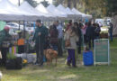 La República de los Niños será sede de una nueva Feria Agroecológica Municipal Itinerante