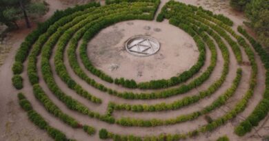 Monte Hermoso impulsa la puesta en valor del Laberinto Vegetal