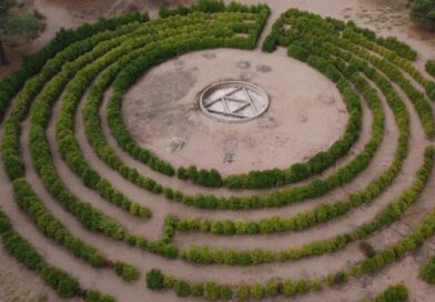 Monte Hermoso impulsa la puesta en valor del Laberinto Vegetal