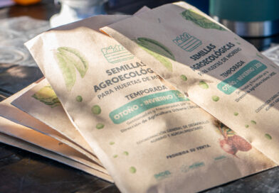 Comenzó una nueva entrega de semillas agroecológicas para la huerta domiciliaria