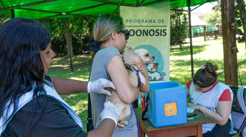 Se realizarán operativos de castración y vacunación antirrábica de perros y gatos