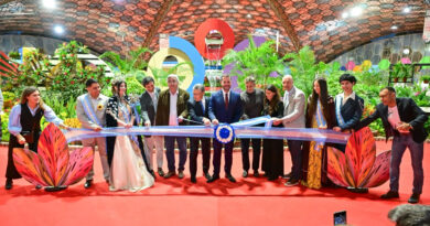 Comenzó la 63ª Fiesta Nacional de la Flor en Escobar: todo lo que ofrece la gran exposición